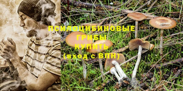 хмурый Балабаново